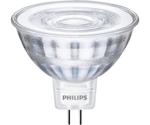 Philips LED 5W(35W) GU5.3 (71049400)