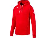 Puma 3 Esito Hoodie (653979)