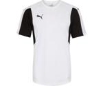 Puma Dominate Jersey