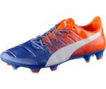 Puma evoPOWER 1.3 FG