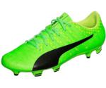 Puma evoPOWER Vigor 4 FG