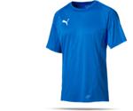 Puma FINAL Training Shirt short sleeve (655292)