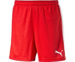 Puma Football Shorts