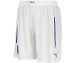 Puma Italy Shorts