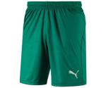 Puma Liga Core Short (703615)