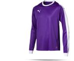 Puma LIGA Goalkeeper Shirt (703442)