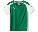 Puma Speed Shirt Youth S/S