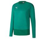 Puma Teamgoal 23 Training Sweat (656478)