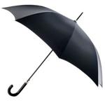 Raindrops Automatic Open Walker Umbrella