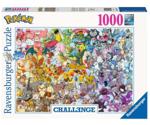 Ravensburger Pokémon Challenge Puzzle