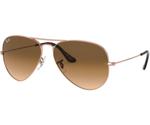 Ray-Ban Aviator Team Wang X RB3025