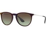 Ray-Ban Erika RB4171