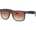 Ray-Ban Justin Flash Gradient Lenses RB4165