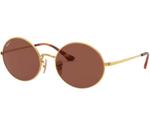 Ray-Ban Oval RB1970