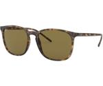 Ray-Ban RB4387