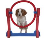 Rosewood Small Dog Hoop (02497)