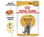Royal Canin British Shorthair Adult Wet 85g