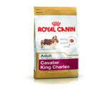 Royal Canin Cavalier King Charles Junior