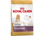 Royal Canin Cocker Junior (3 kg)