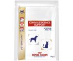 Royal Canin Convalescence Support Instant