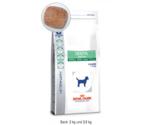 Royal Canin Dental Special Small Dog