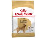 Royal Canin Golden Retriever Adult