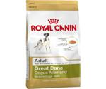 Royal Canin Great Dane 23