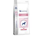 Royal Canin JUNIOR Digest & Skin (4 kg)