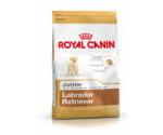 Royal Canin Labrador Retriever Junior