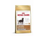 Royal Canin Labrador Retriever Sterilised