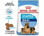 Royal Canin MAXI Mother & Babydog