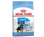 Royal Canin Maxi Puppy