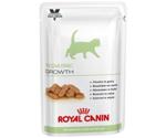 Royal Canin Pediatric Growth Feline Wet 100g