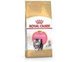 Royal Canin Persian Kitten