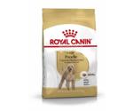 Royal Canin Pudel Adult Dry Food