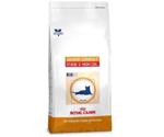 Royal Canin Senior Consult Stage 2 High Calorie Feline