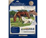 Royal & Langnickel Painting By Numbers Kit - Horse In Field