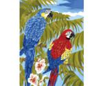 Royal & Langnickel Painting By Numbers Kit - Parrots