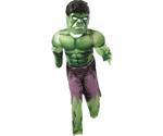 Rubie's Deluxe Hulk Costume (889213)