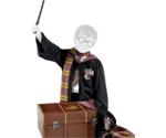 Rubie's Harry Potter Trunk Costume (64037)