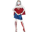 Rubie's Wonder Woman Adult Vintage Costume (888439)