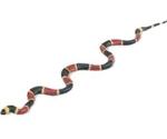 Safari Coral Snake (257429 )