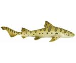 Safari Leopard Shark