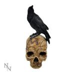 Salems Familiar Skull shop4world.com