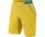 Salewa Pedroc Bermuda DST M Shorts