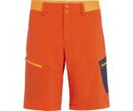 Salewa Pedroc Cargo 2 DST Shorts Men dawn