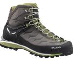 Salewa Rapace GTX Men