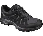 Salomon Effect GTX magnet/black/monument