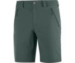 Salomon Wayfarer LT Shorts green gables (LC1300100)