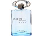 Salvatore Ferragamo Incanto Pour Homme Blue Eau de Toilette (100ml)